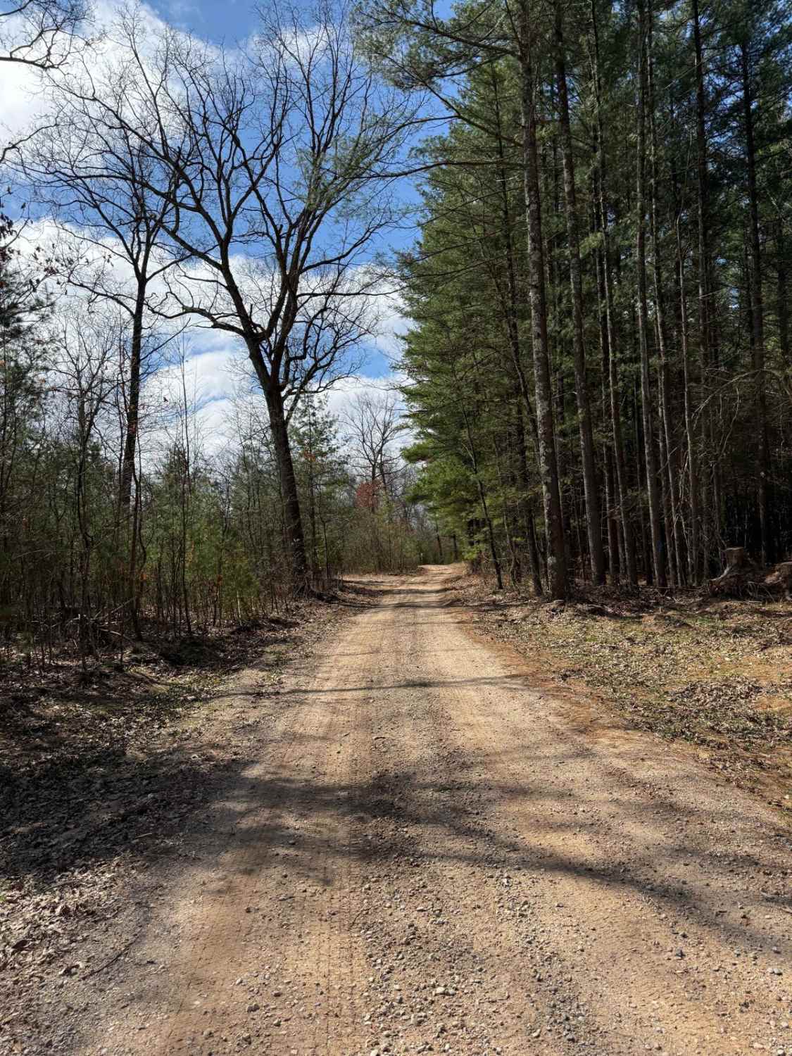 NFS 6641/6041 (LP 320-3)