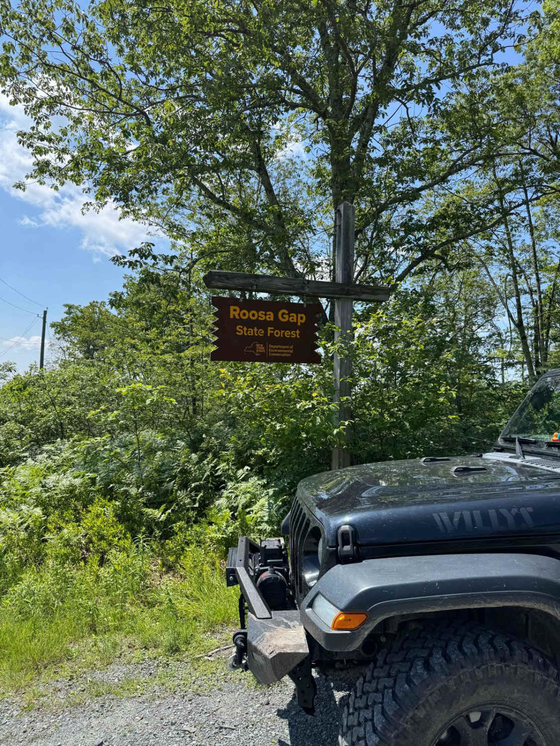 Fire Tower Road New York GPS - F48fc1d2 3e97 4b98 Aad7 6e5edfaa4025