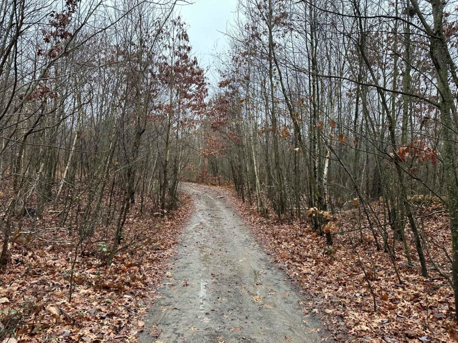ATV Trail 76