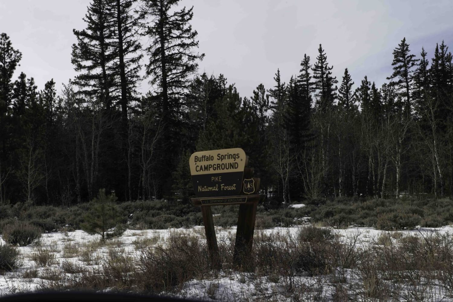 Buffalo Peaks Road - 431