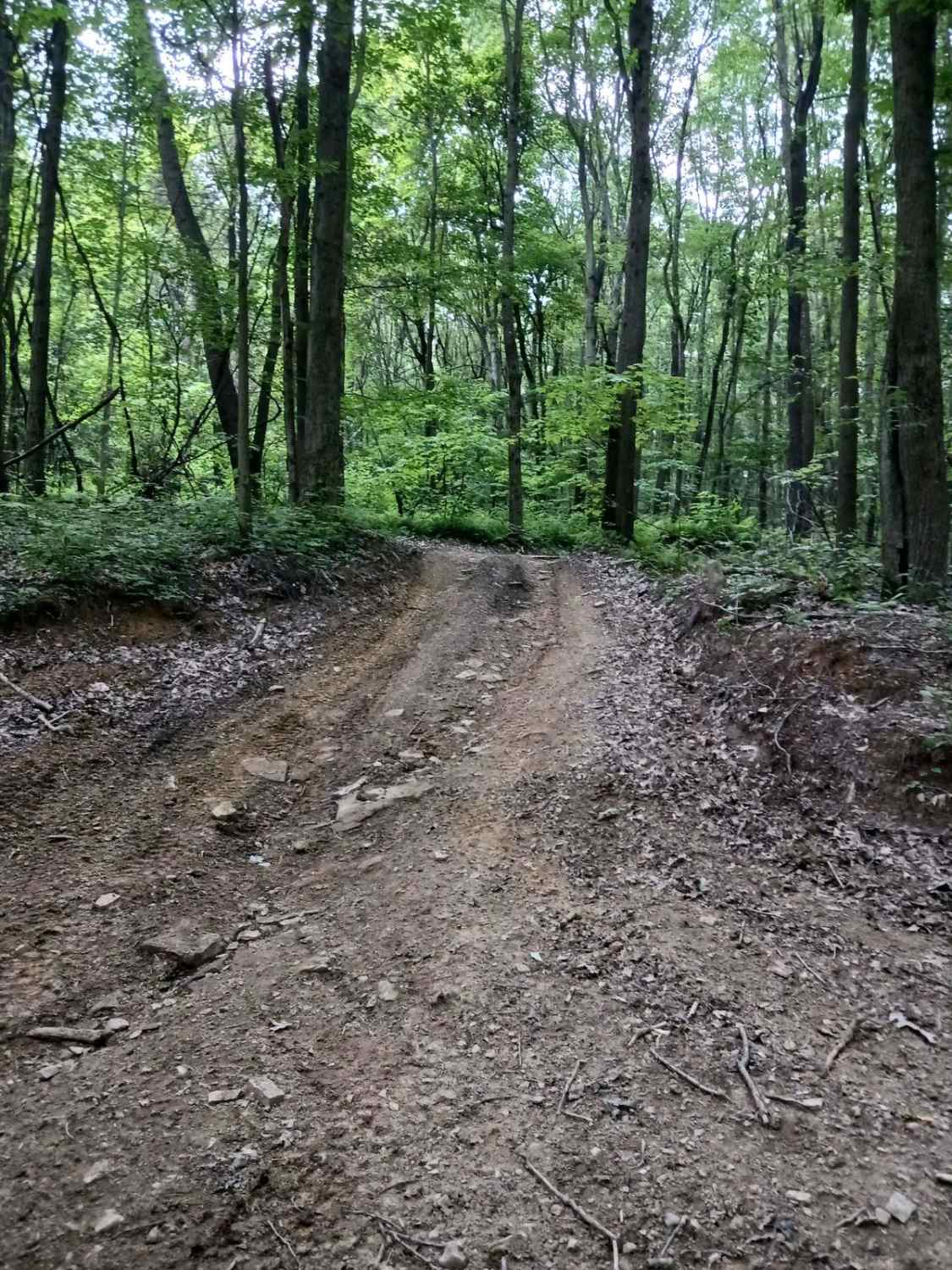 Trail 1B - Rock Run Recreation Area