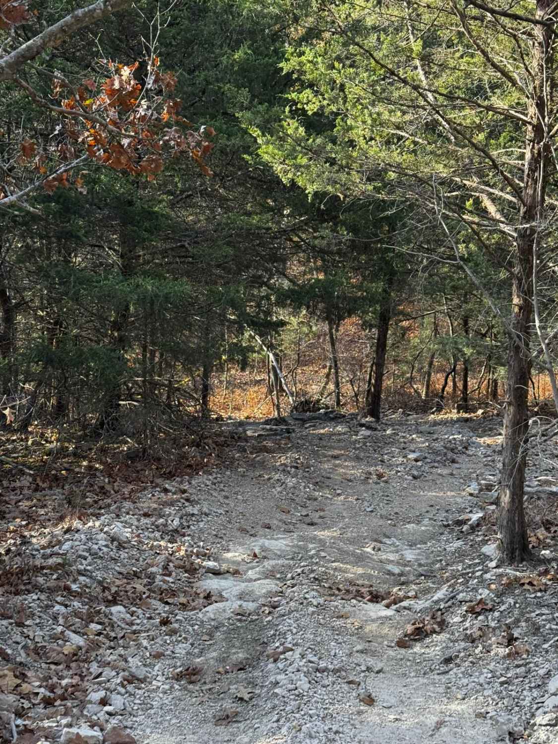 Bluff Run 