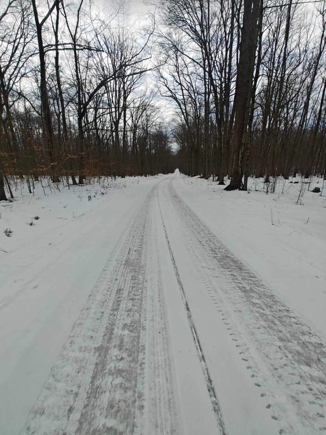 Dispersed Camping Road - FSR 259