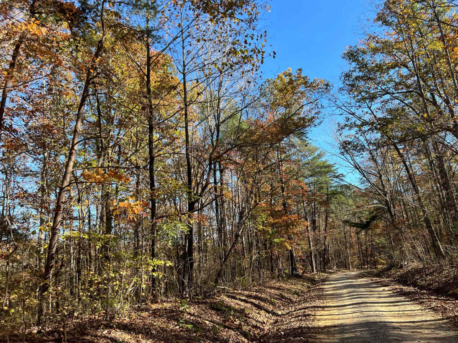 Ridge Road - FS 213 