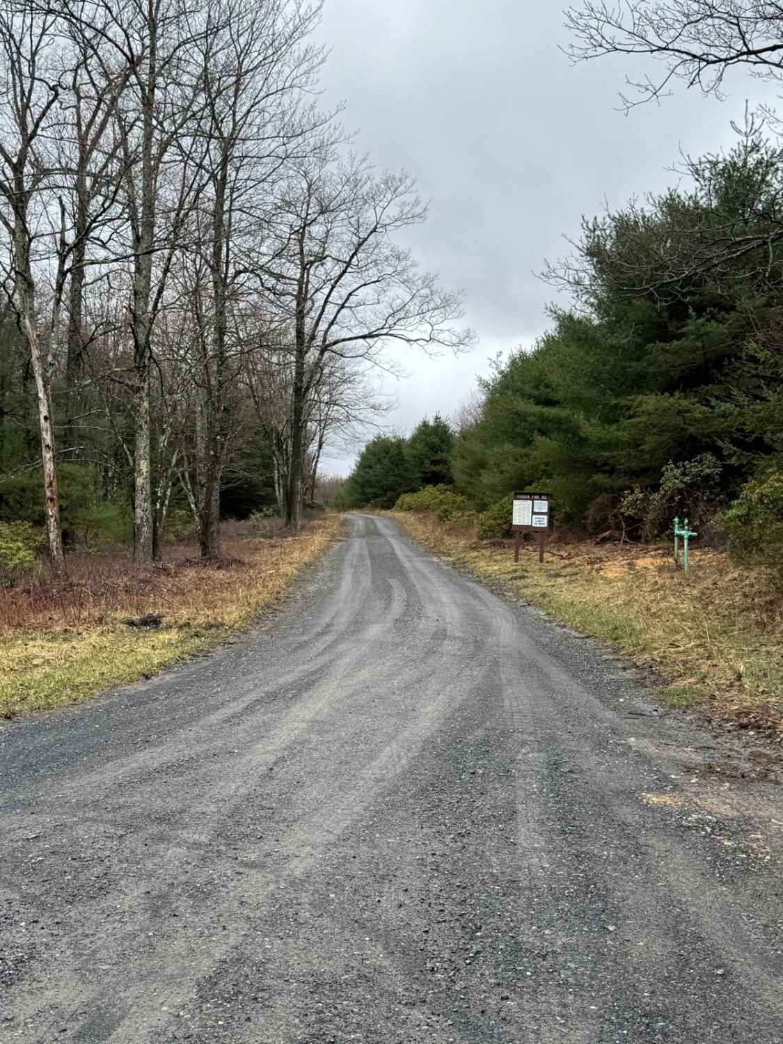 Fisher Fire Road