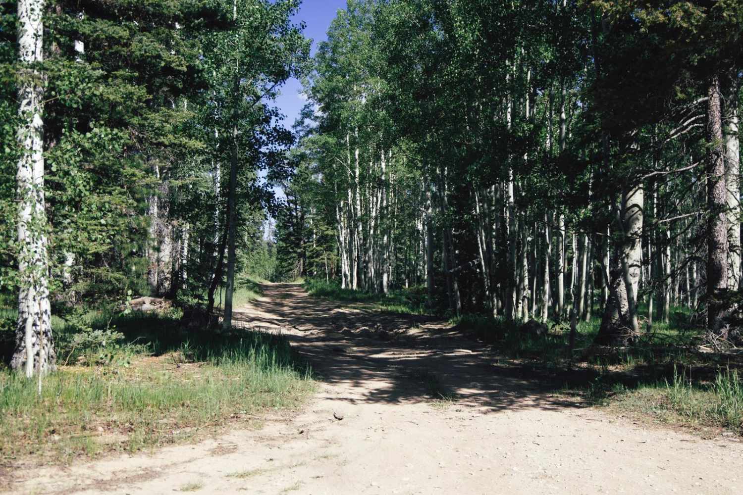 Tater Canyon