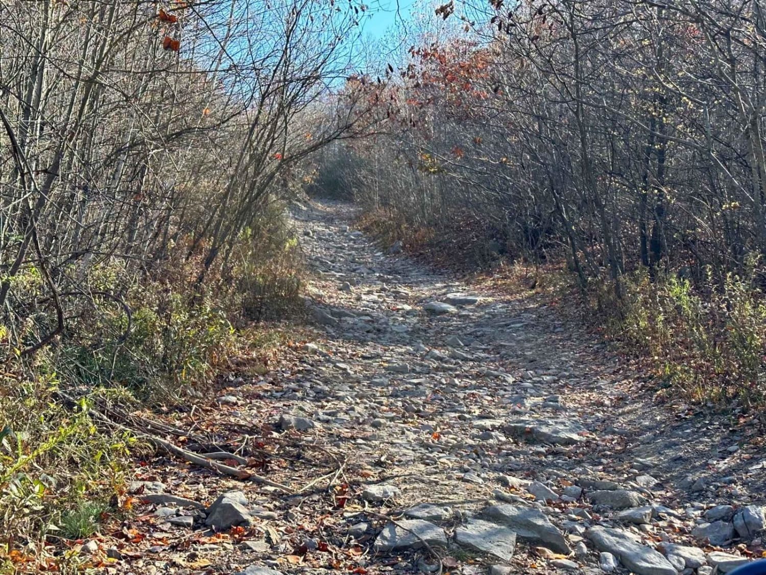 ATV Trail 4