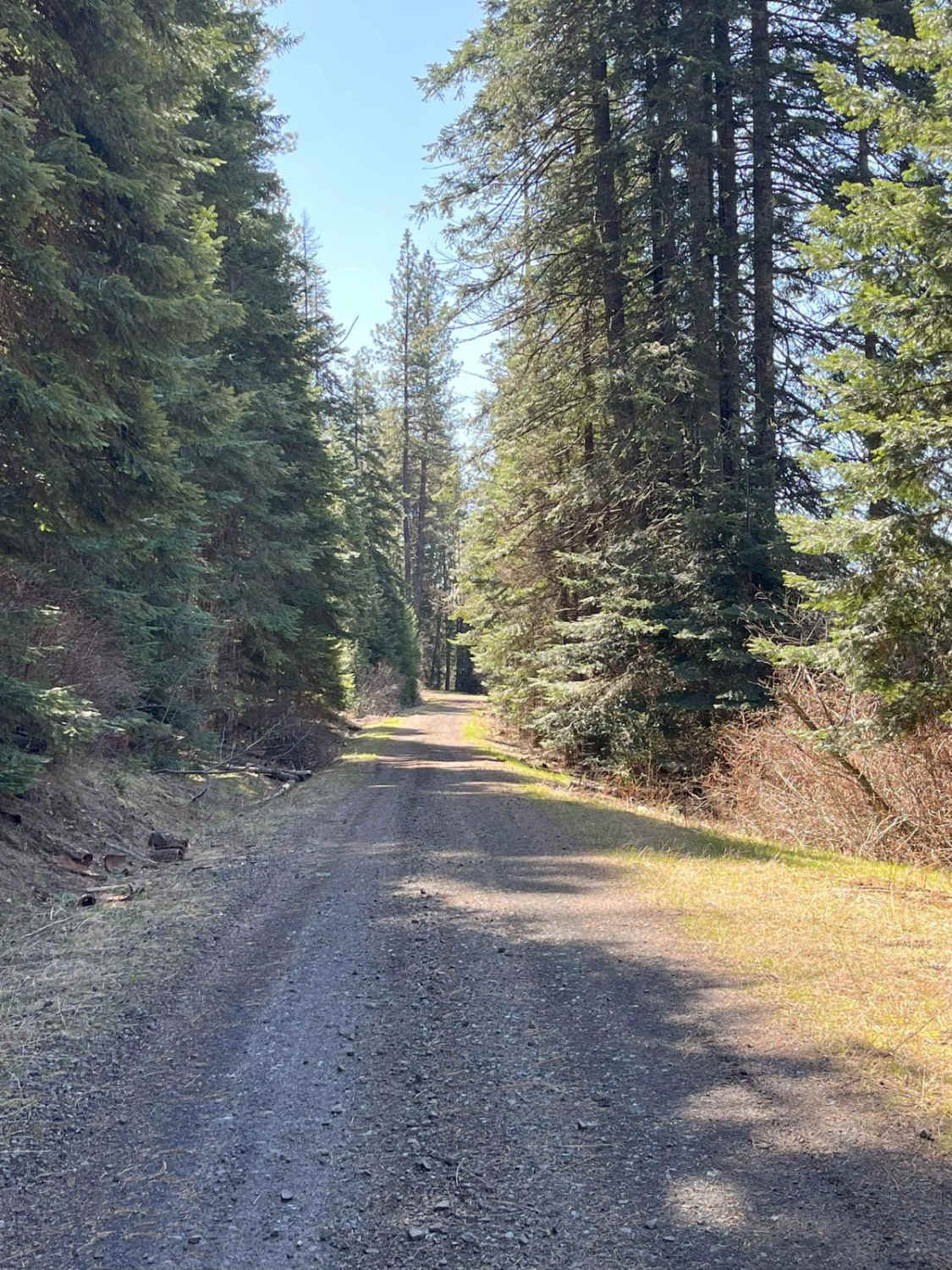 East Fork Big Bear Creek