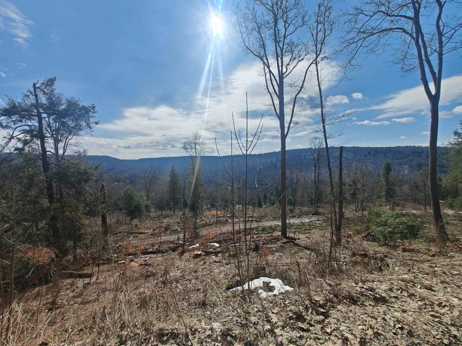 Hook Run Road - FSR 160