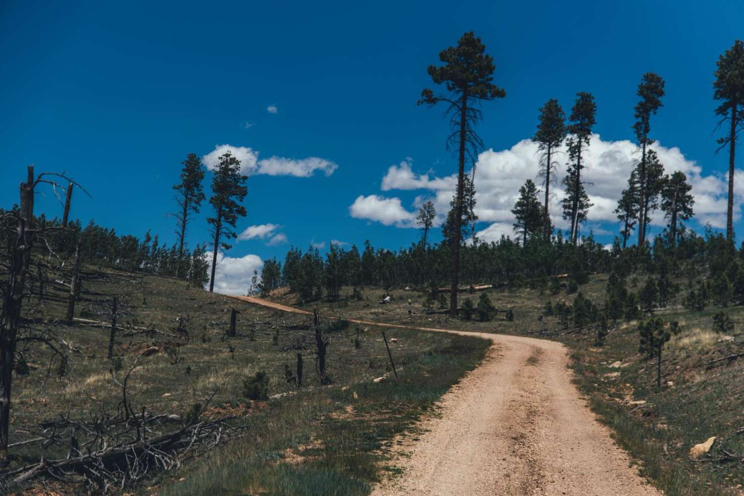 Half Mile Access Road