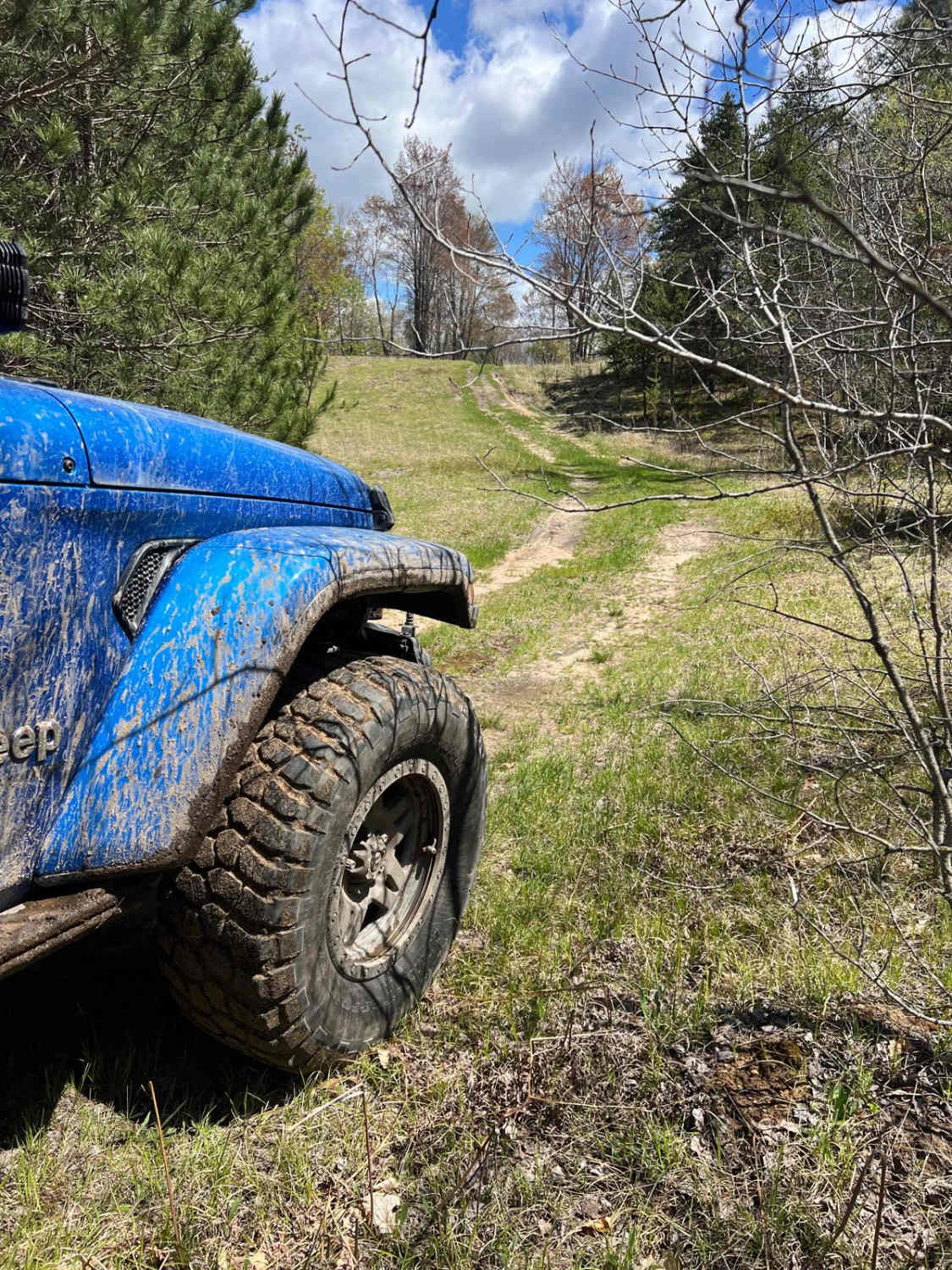 Pine Connector Trail