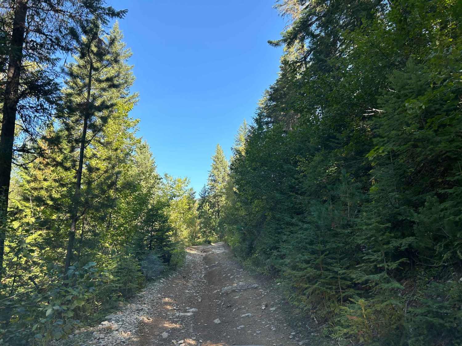 NSFDR 985 Slate Creek Bypass
