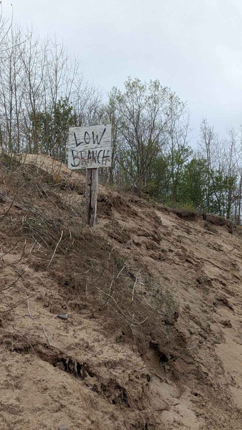 Low Branch