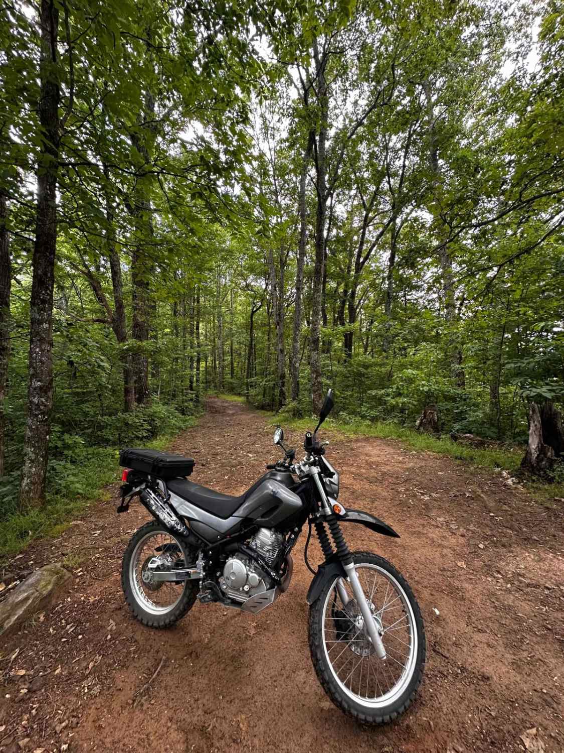 Cooper's Gap