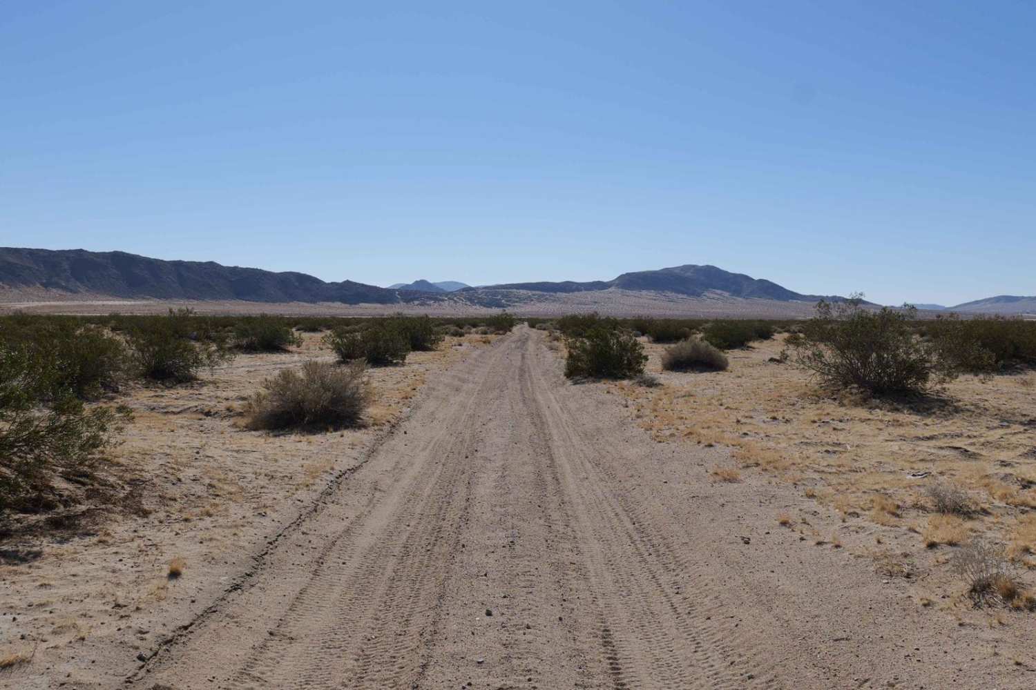 Sand Dune Expedition