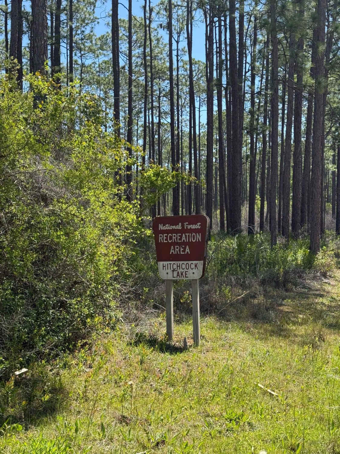 Hitchcock Lake