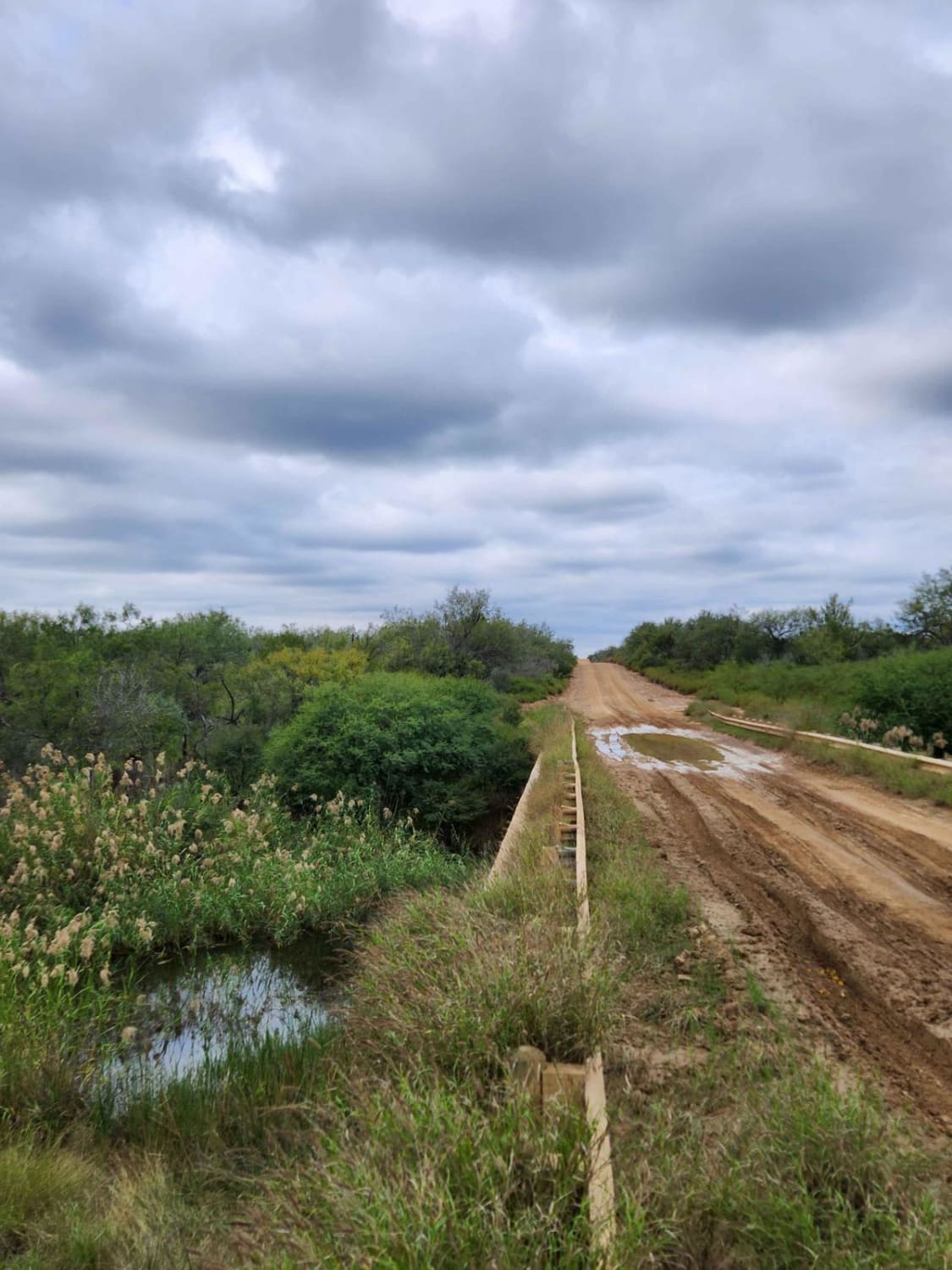 Old Mines Road