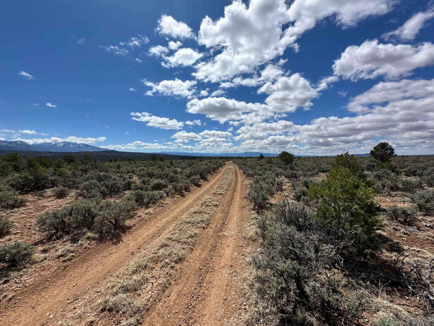 West Rim Trail
