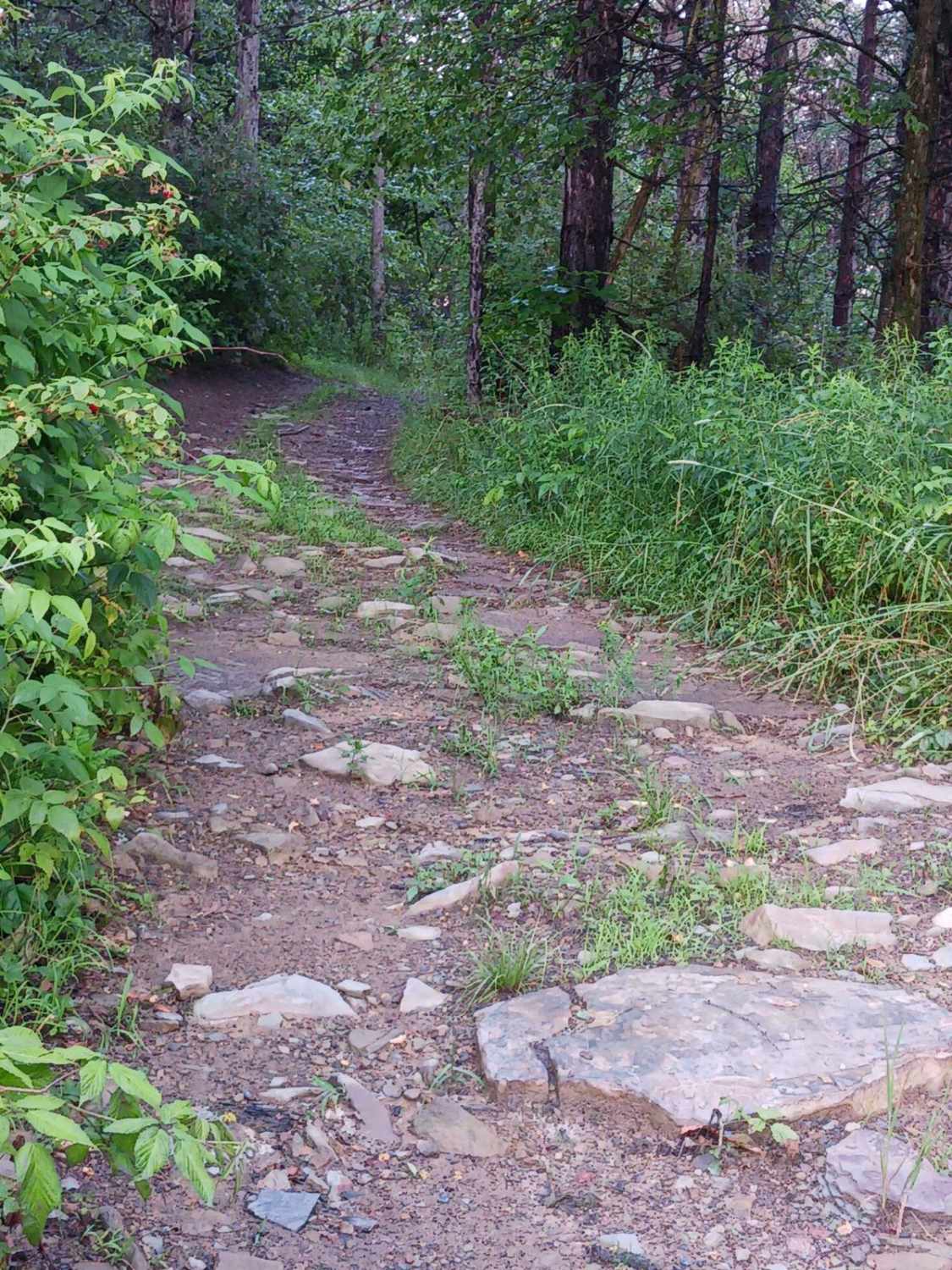 Trail 12M - Rock Run Recreation Area