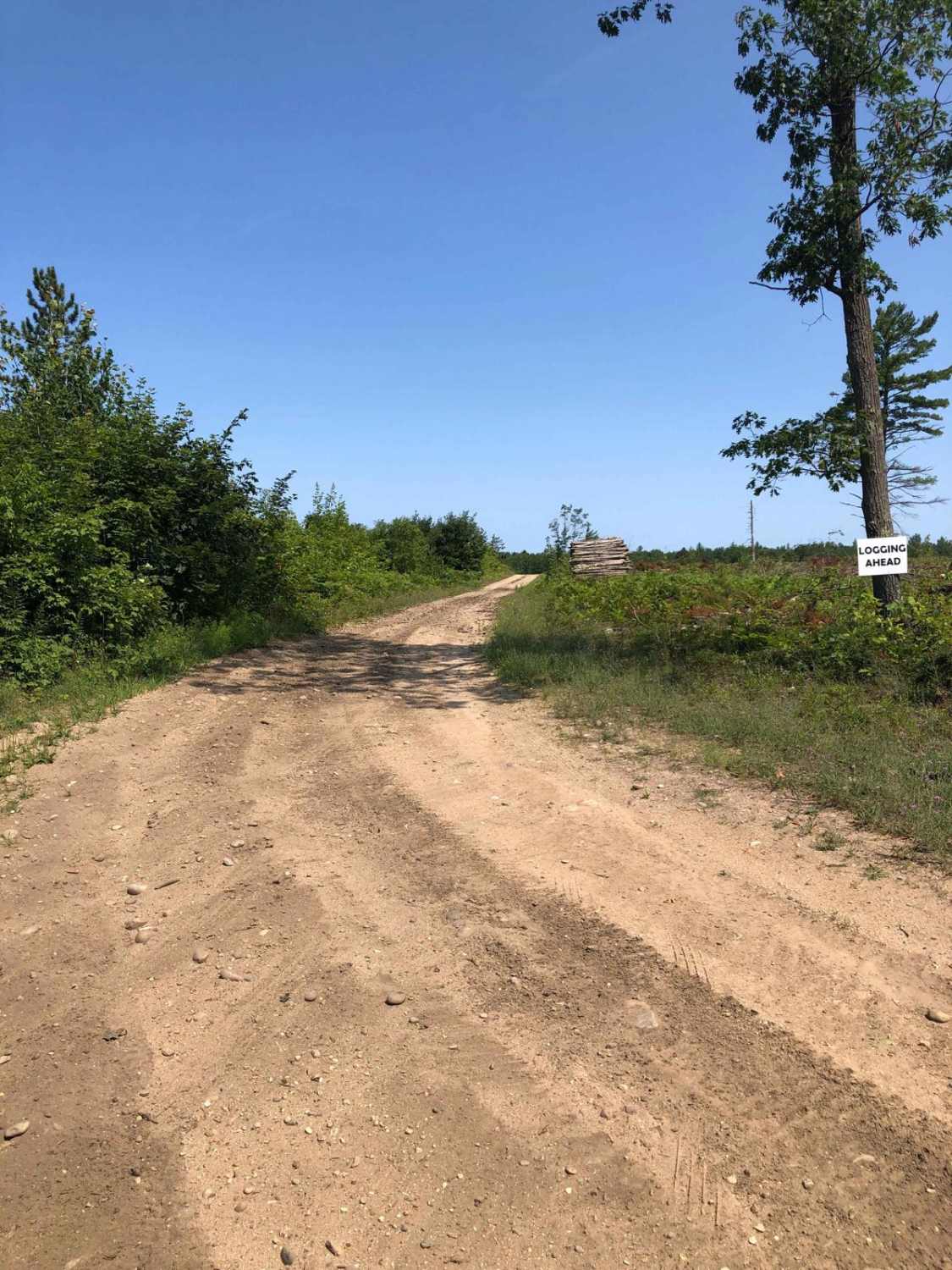Logging Lane