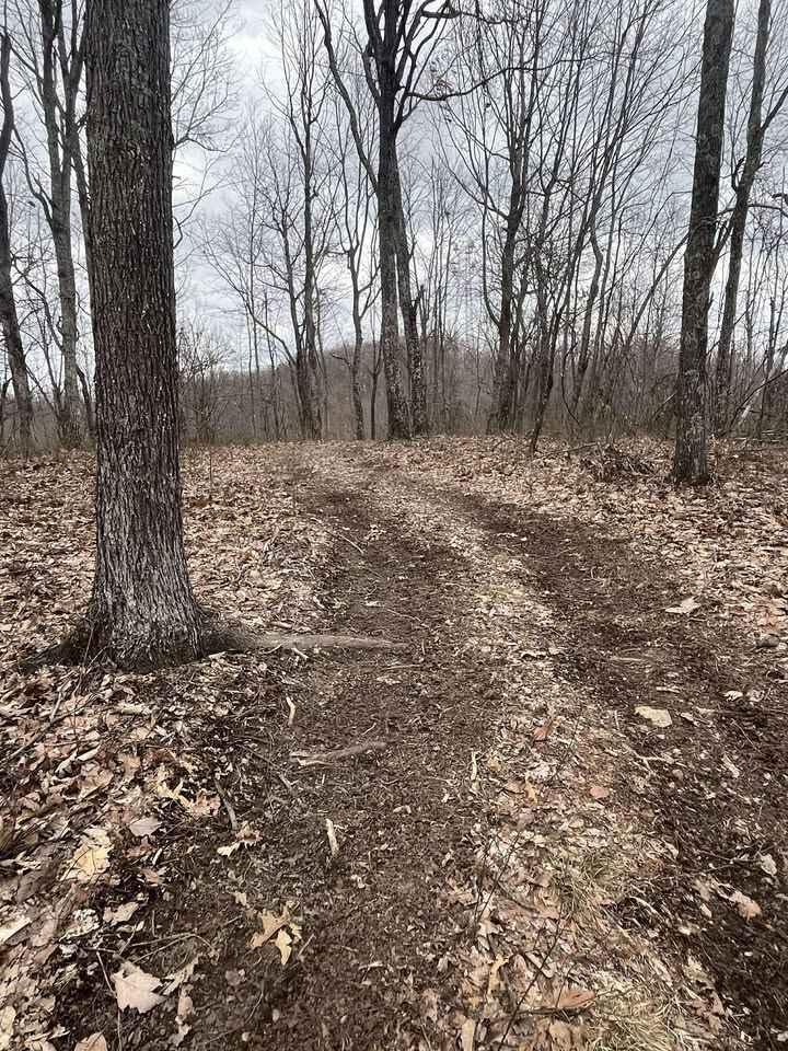 Trail 4