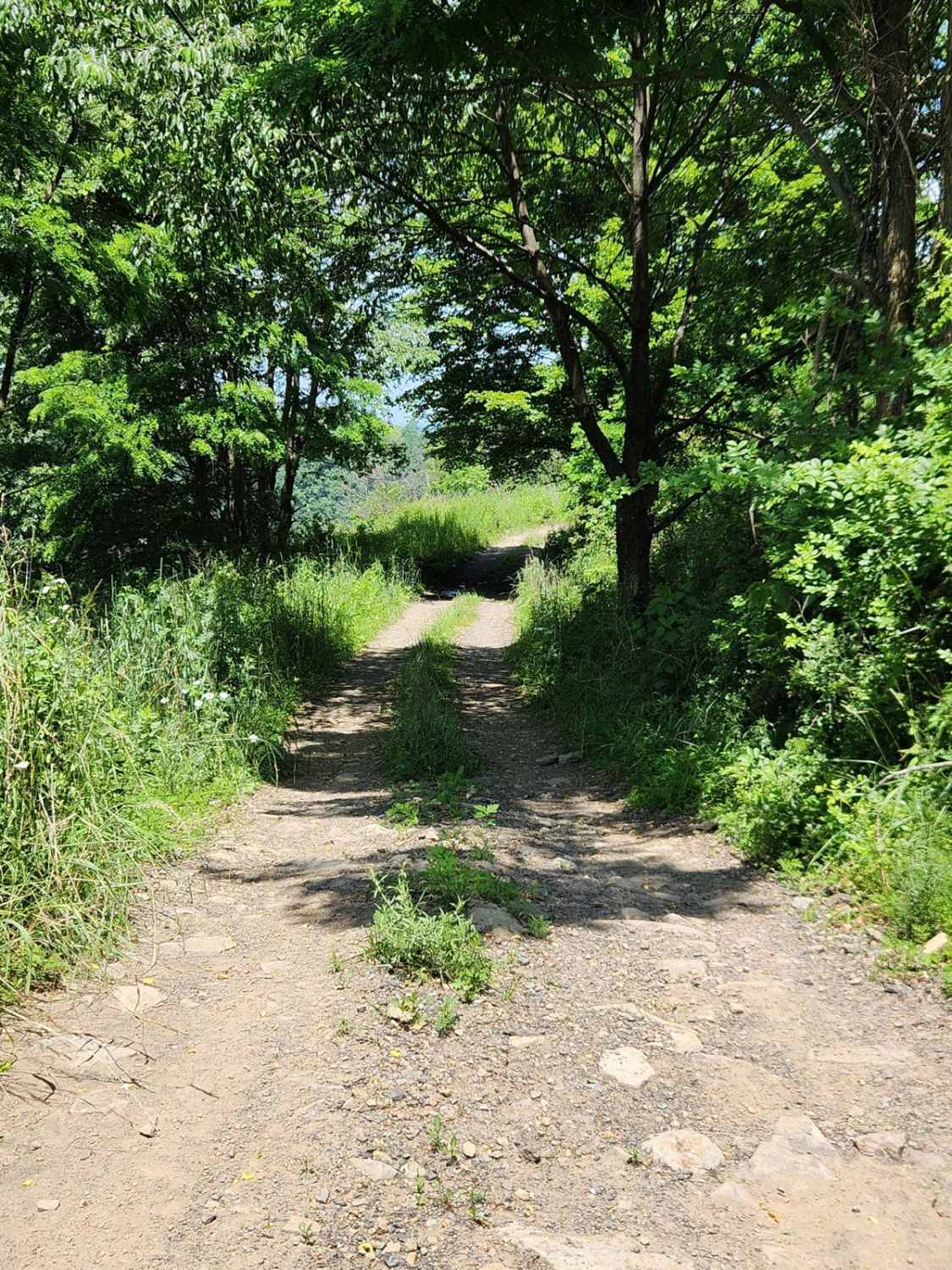 Trail 6C - Rock Run Recreation Area