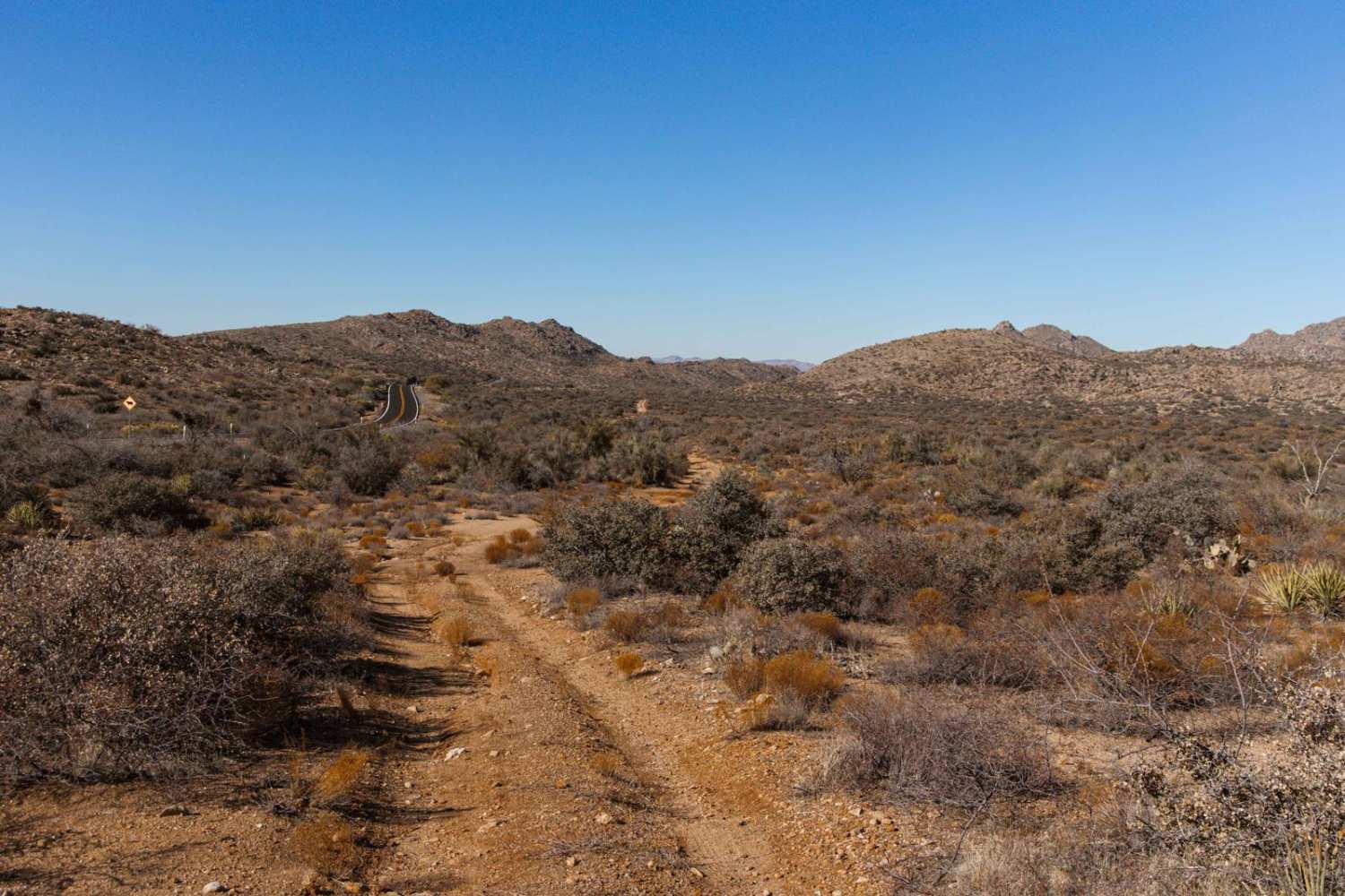 Quail Spring Cutoff