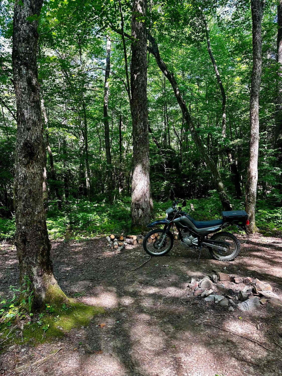 Long Creek Trail