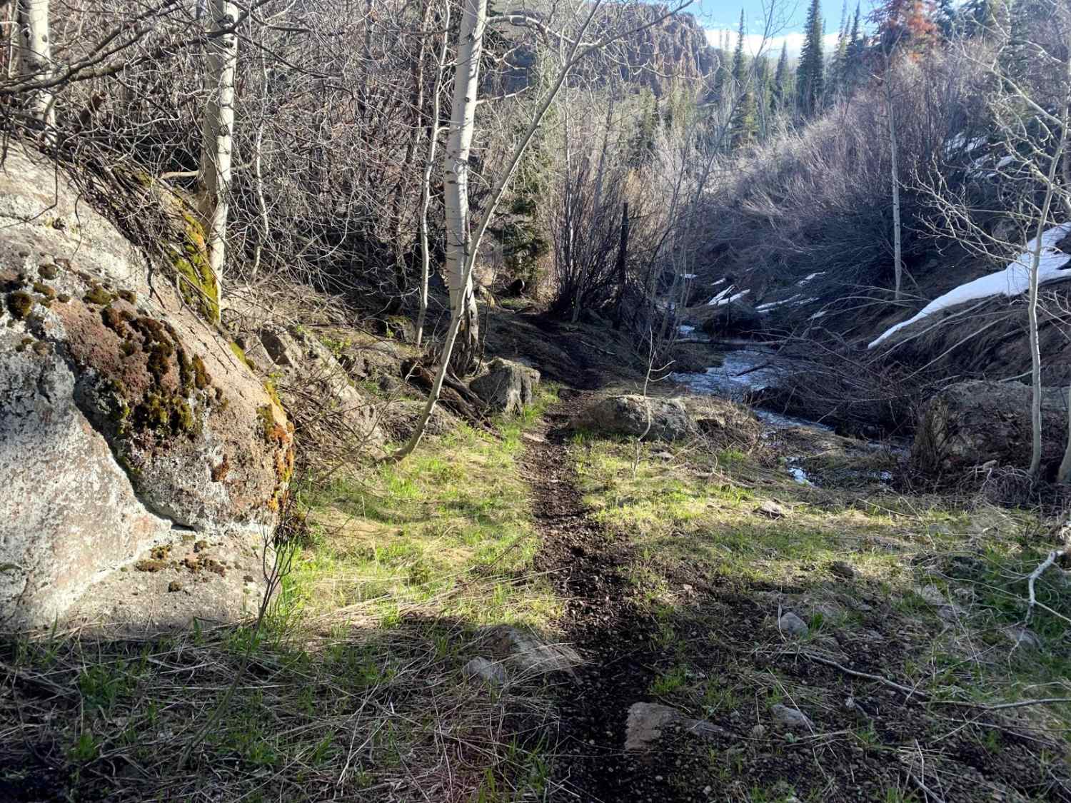 Second Fork