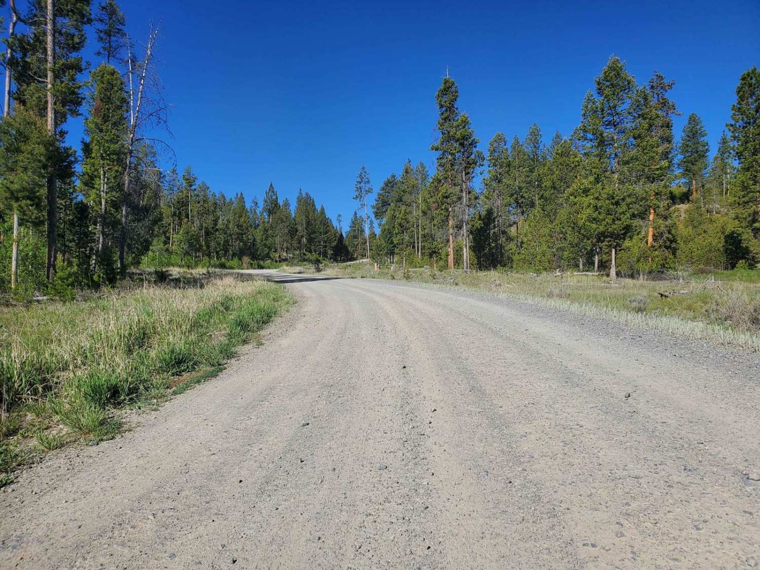 Rabbit Foot Mine Trail