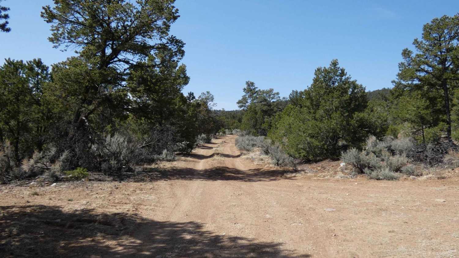 Vistas Overlook