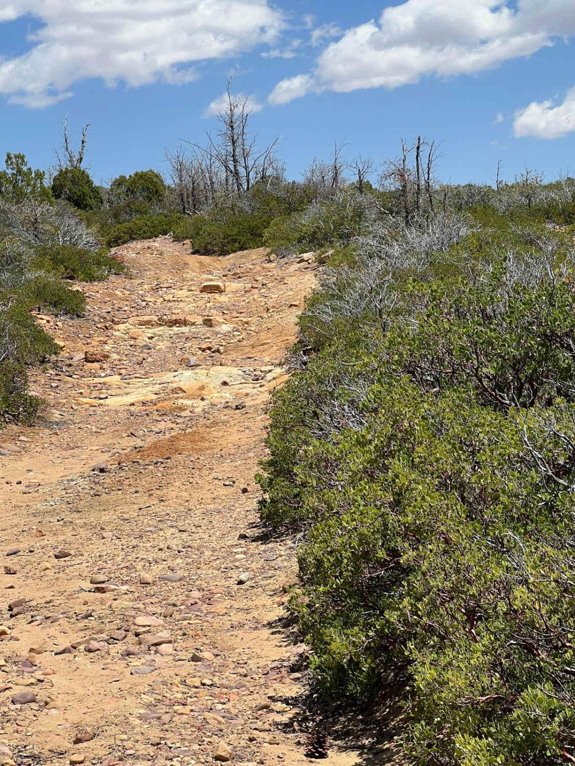 Telephone Ridge