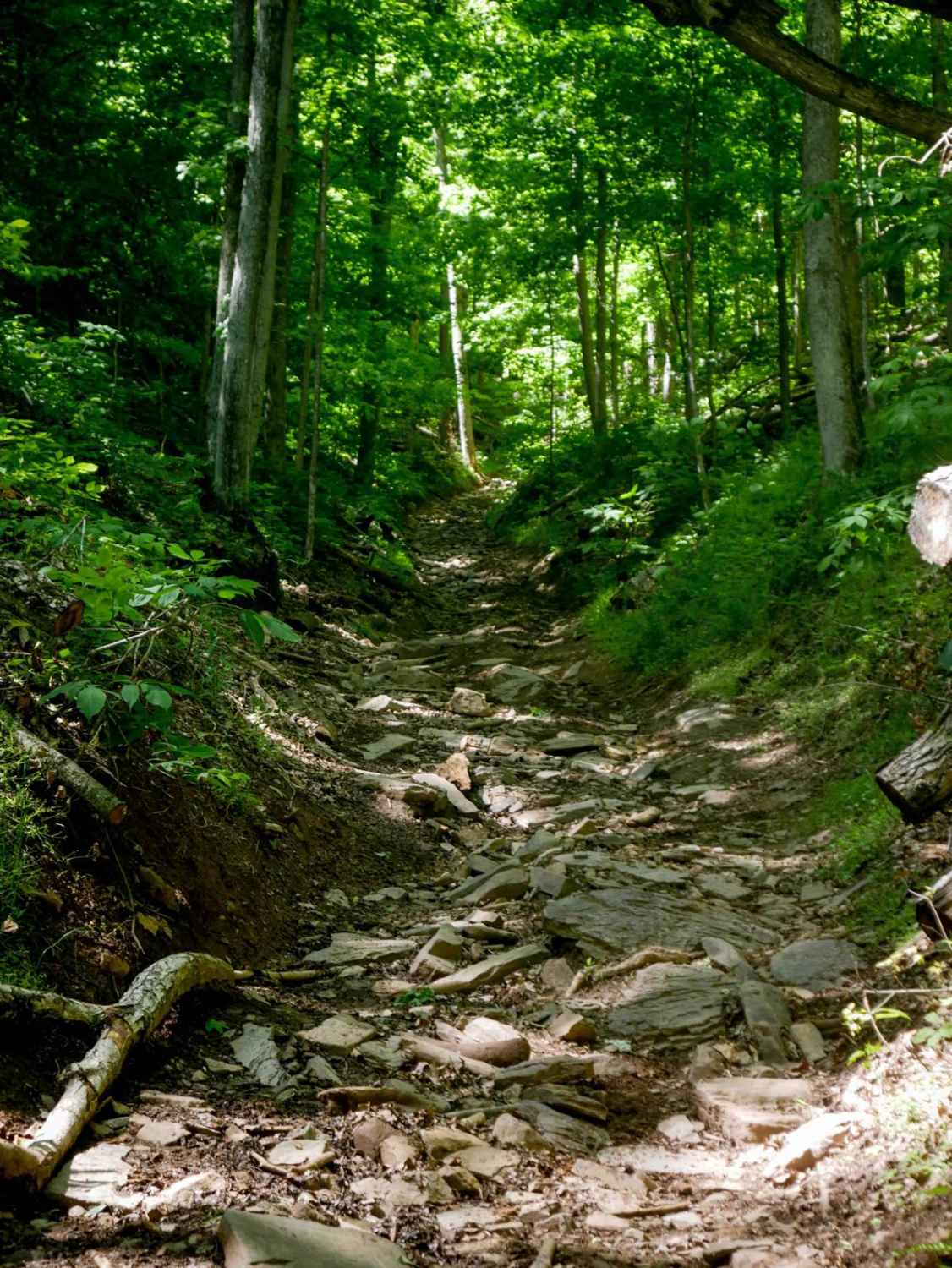Trail 28 Razor Ridge