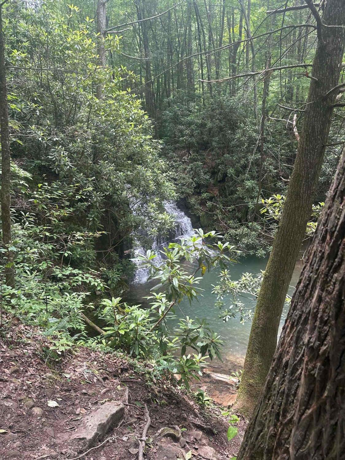 Sandlick Trail