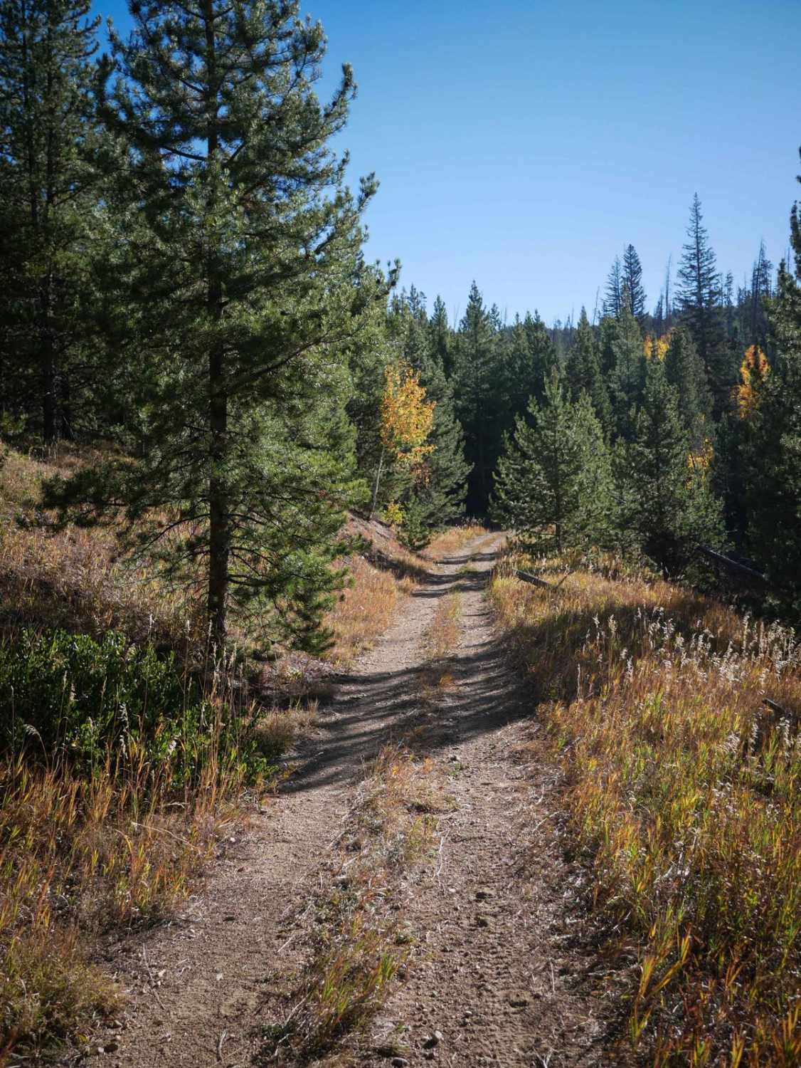 No See Um ATV Trail