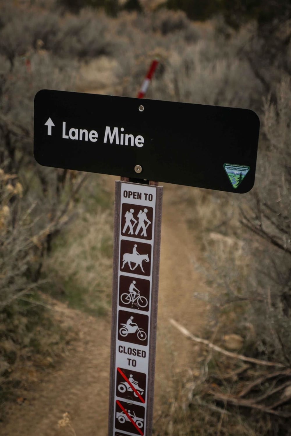 Lane Mine