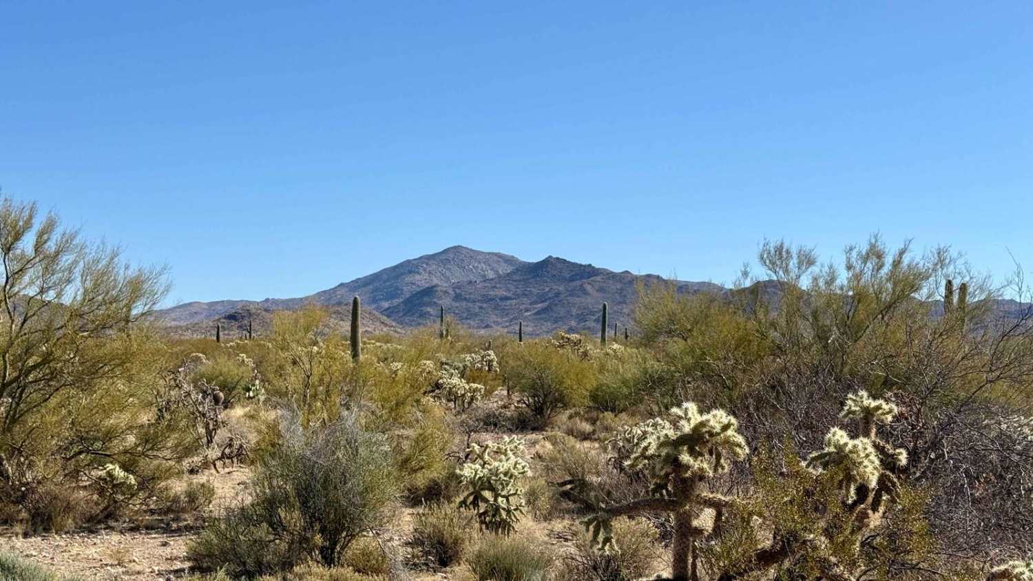 Gas Pipeline: Freeman to Lovetta