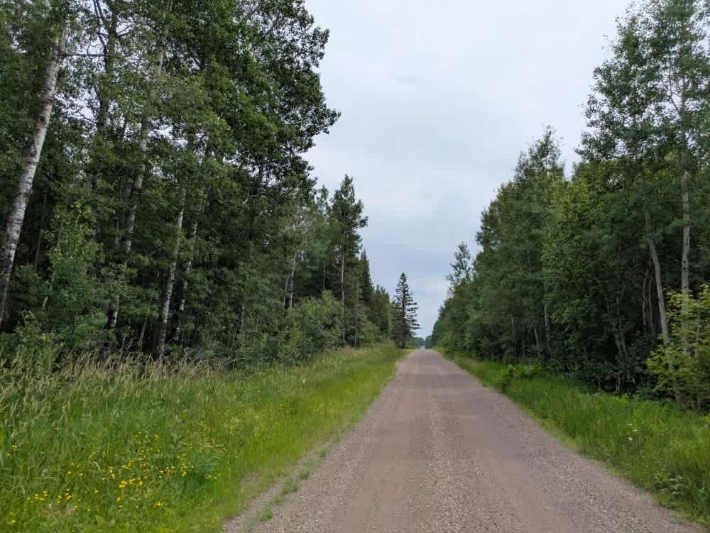 Pine Lake Access Road