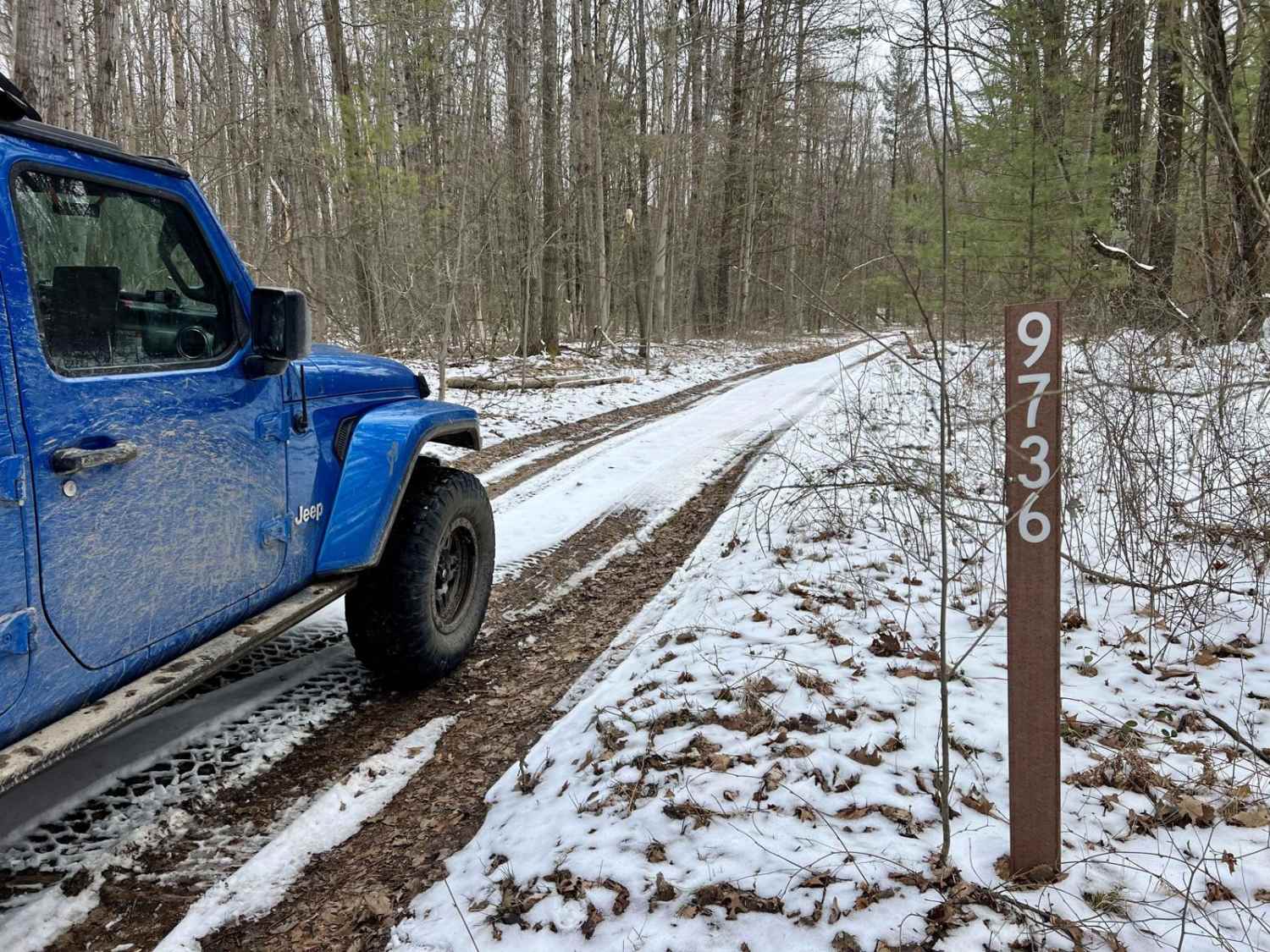 NFS 9736 (Mud Bogger)