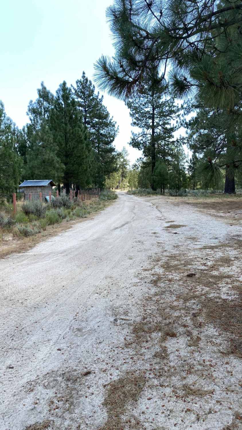Old Road to Rancho Venados