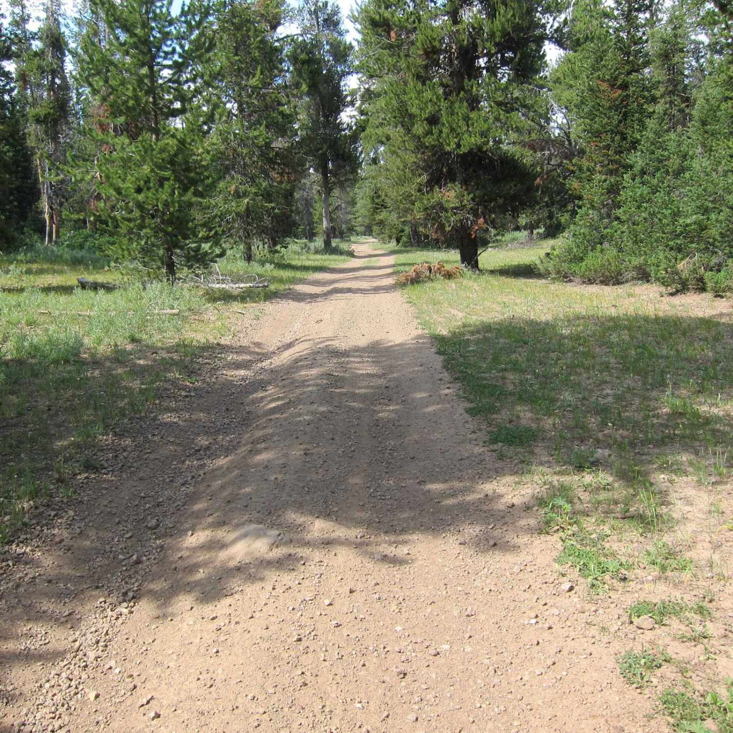 Old Logan Road