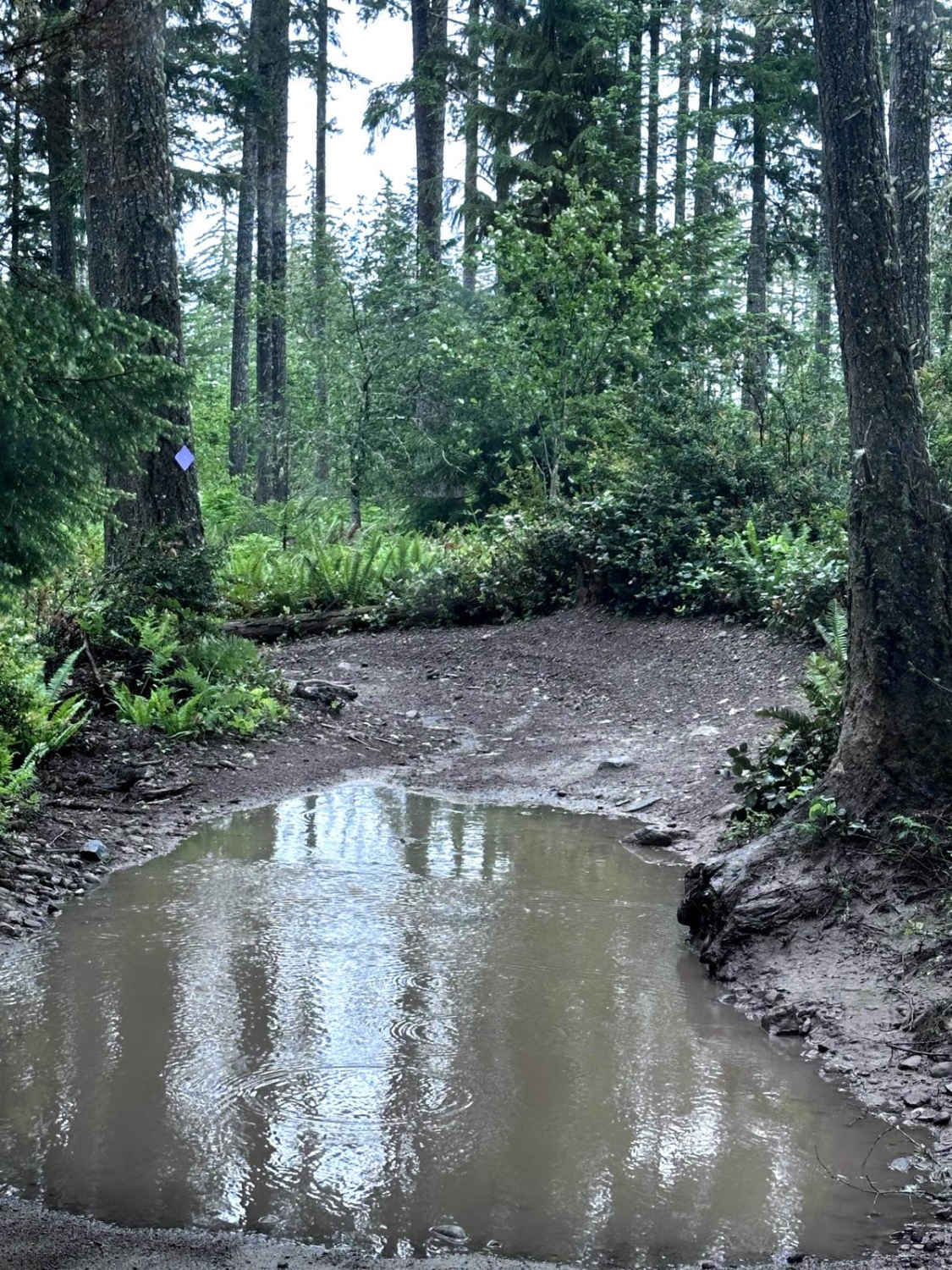 Door Bender Trail