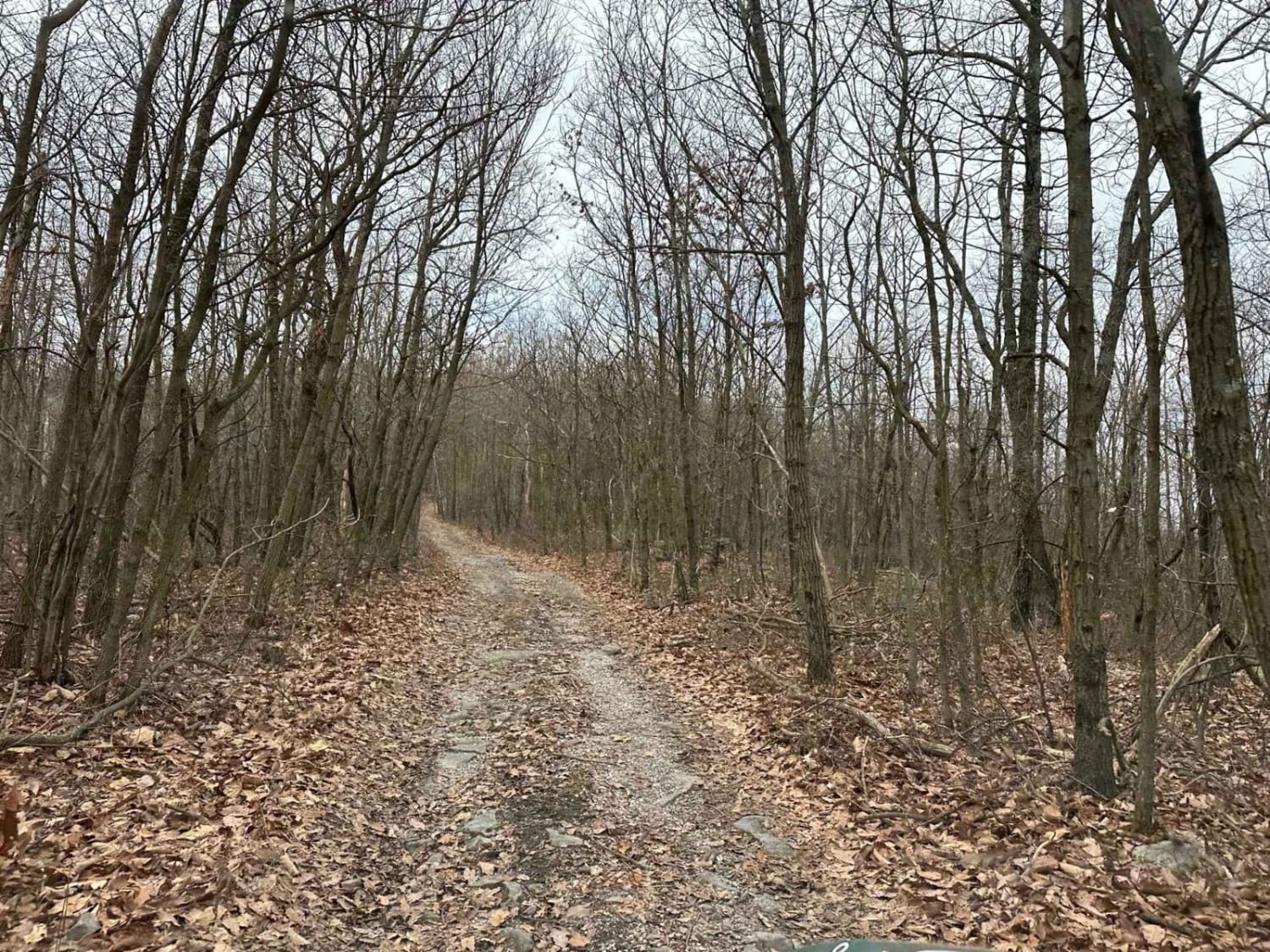 Locust Gap 76