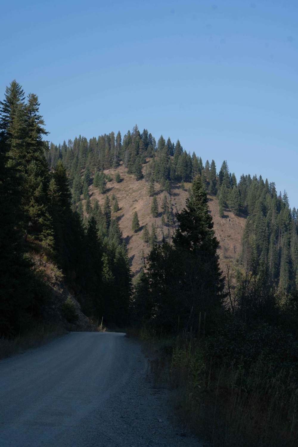 Teepee Creek -6310