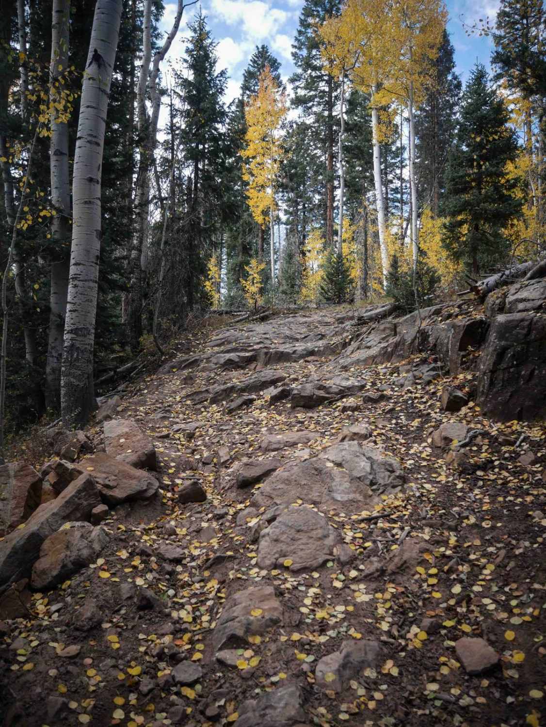 Devil Mountain 