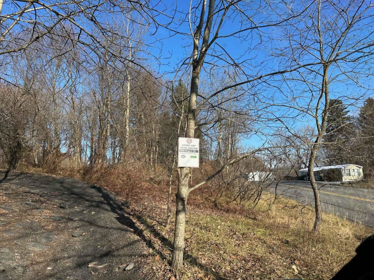 Locust Gap 10