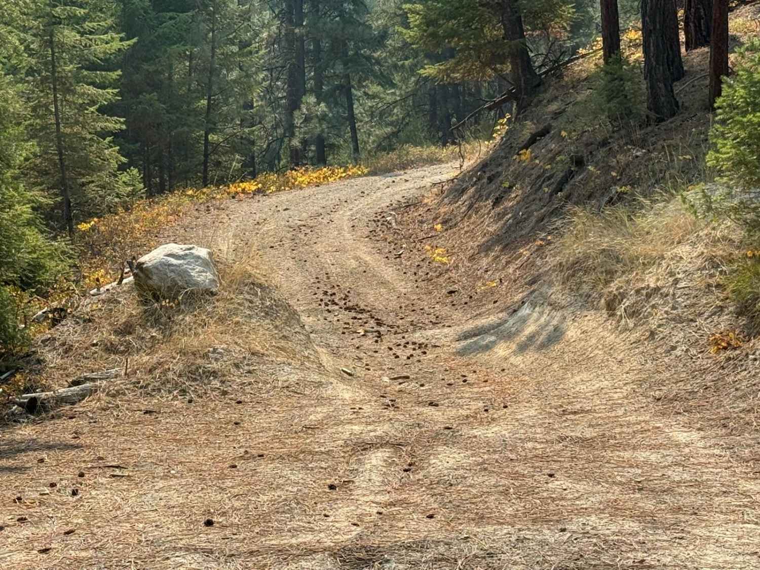 Burnt Ridge