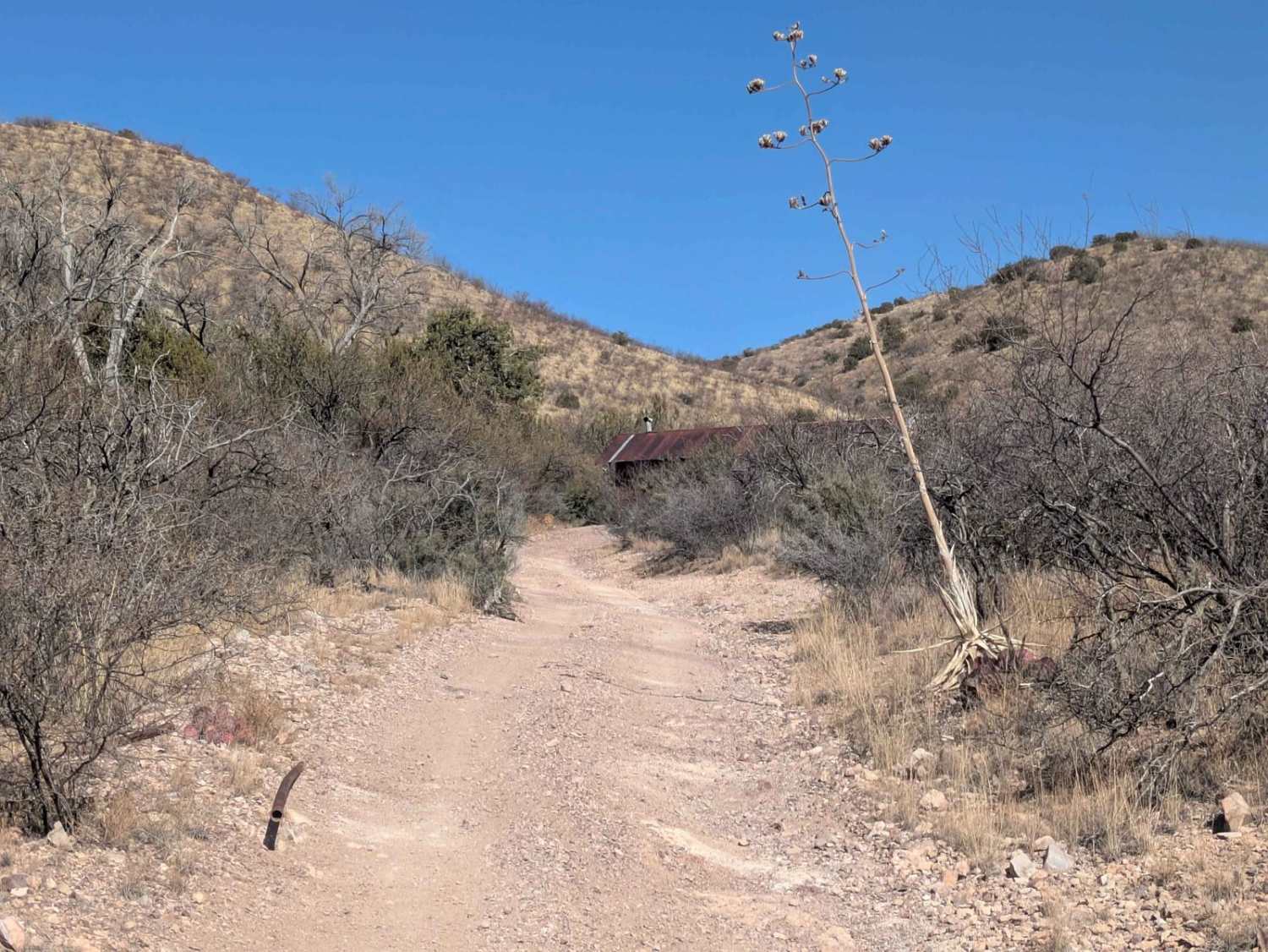 Apache Spring Trail