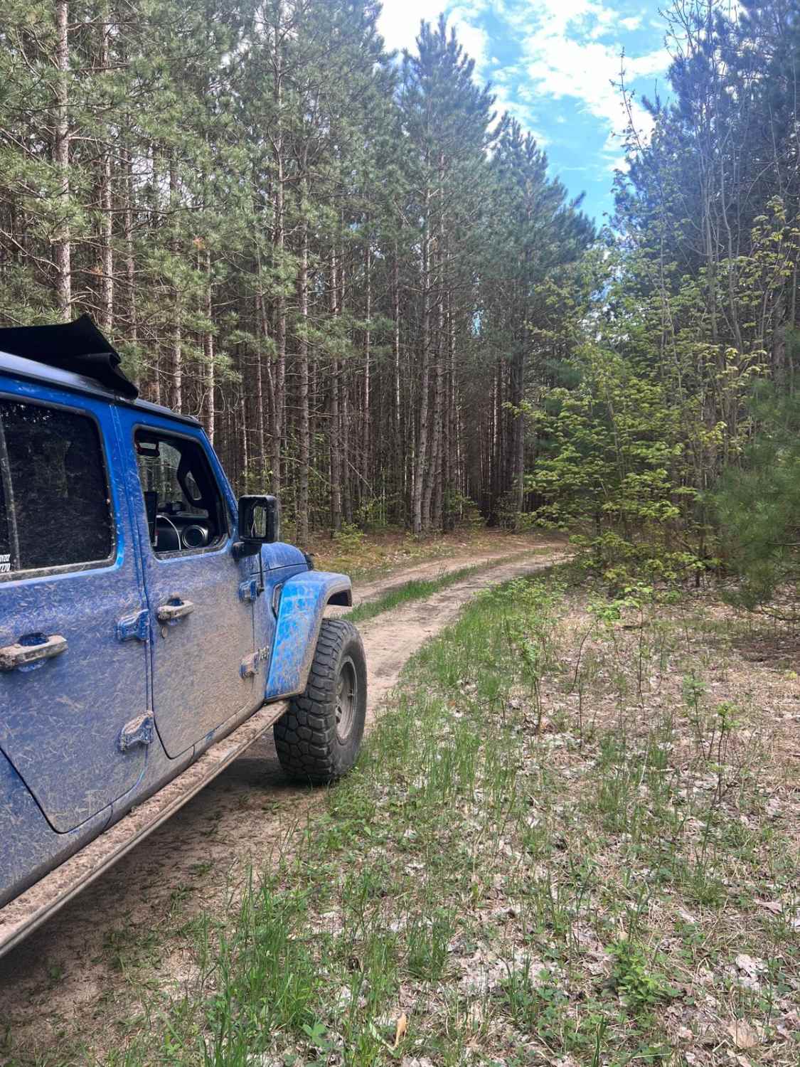 Pine Row Trail