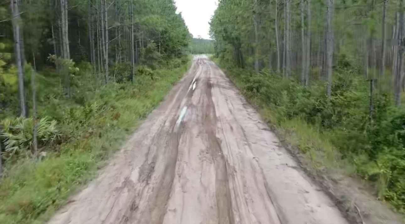 Satilla WMA Tour